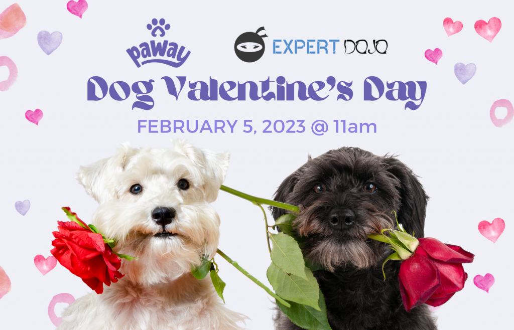 Dog Valentines Day